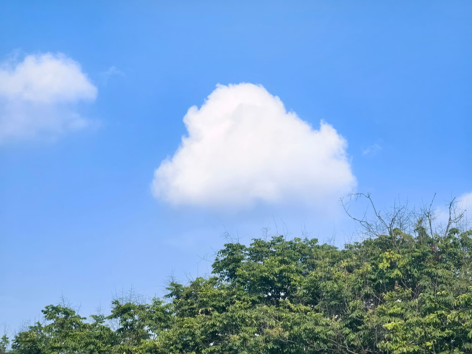 OK大学（财大版)？ 1