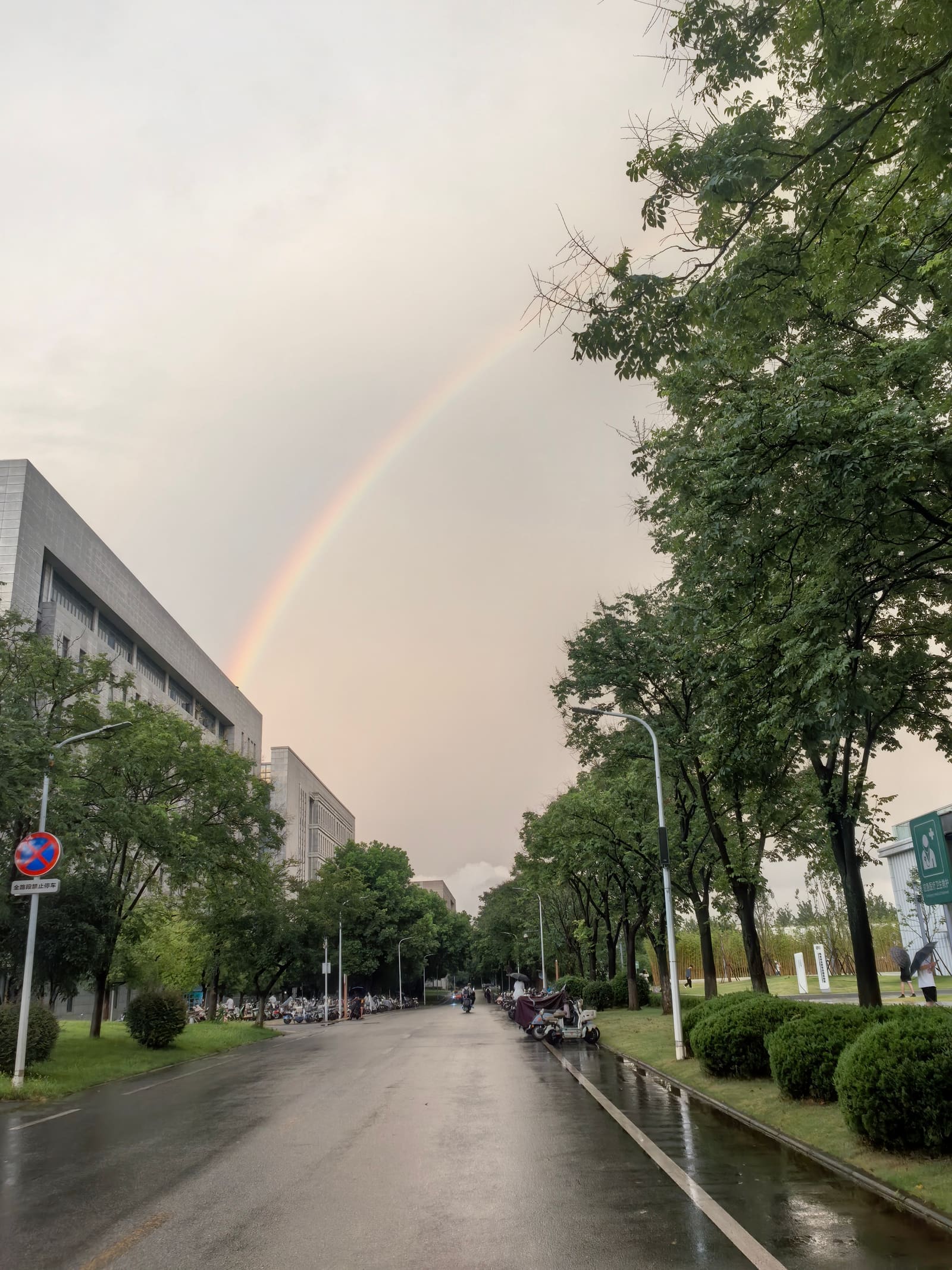 彩虹渐淡